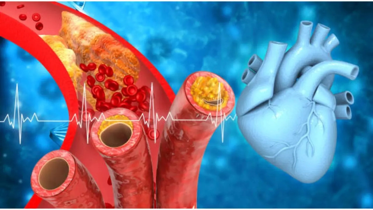 東京の歯医者、高輪歯科の睡眠歯科医療サービス、オーラルスリープ™の大人の睡眠障害についての解説
